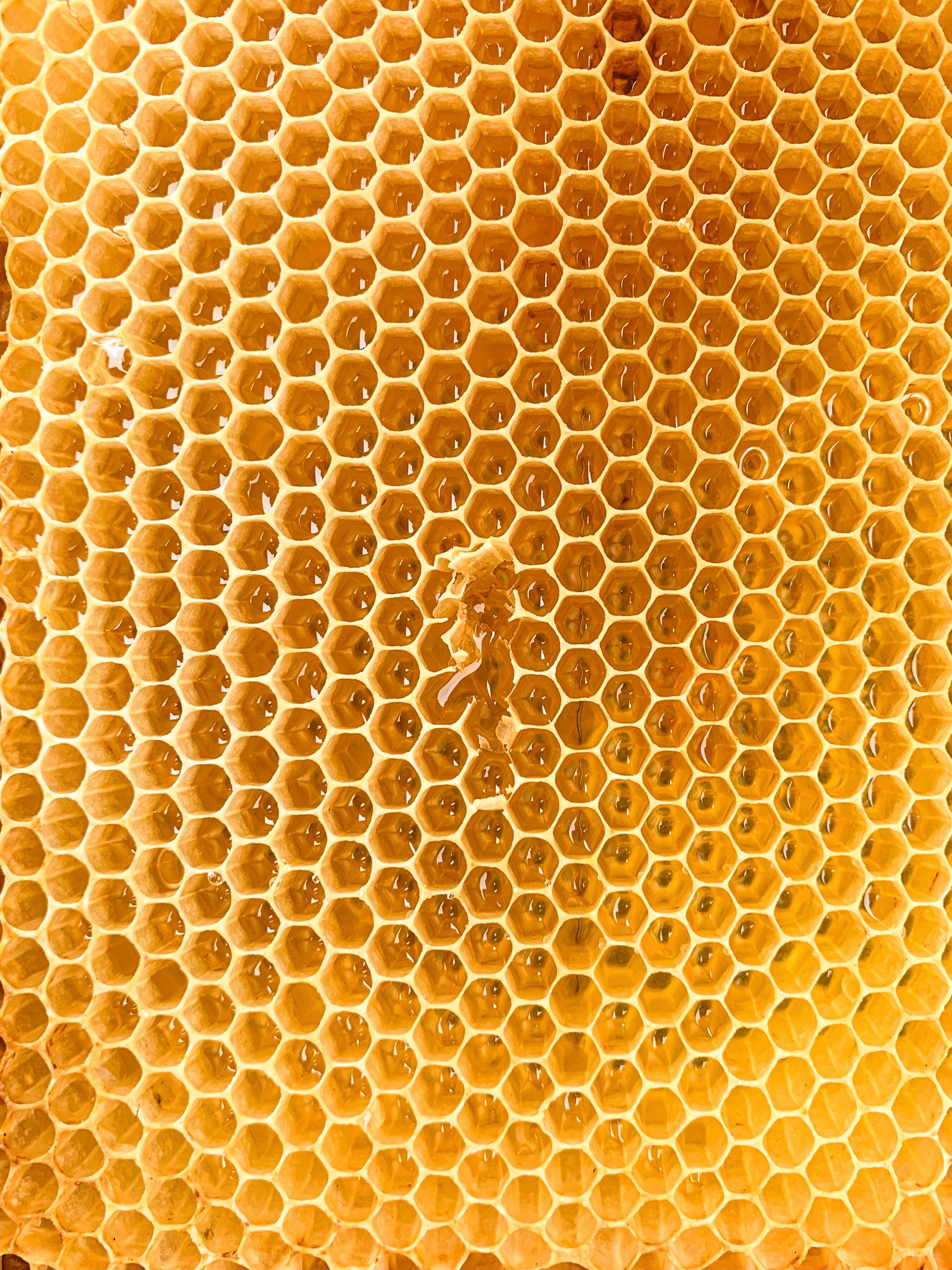 HimaPure Honey cover